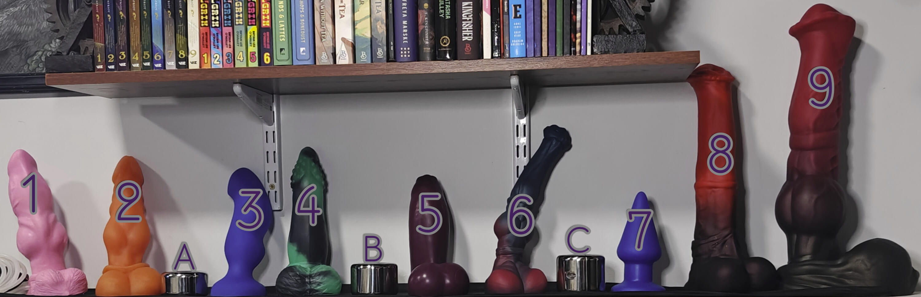 My Toy Shelf Various dildos and ball weights lined up against a white wall with a bookshelf above it. The items are all numbered to correspond to the chart above